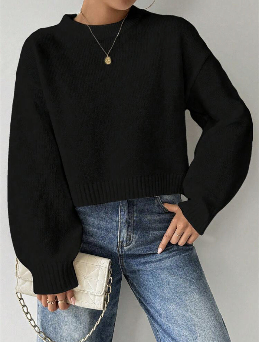 Women's Fine Knit Long Sleeve Jumper with Crew Neck